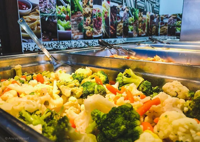 Arapya Resort فندق *